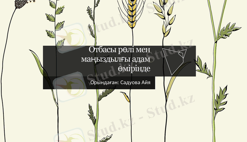 Slide 1