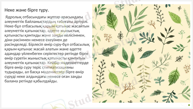 Slide 10