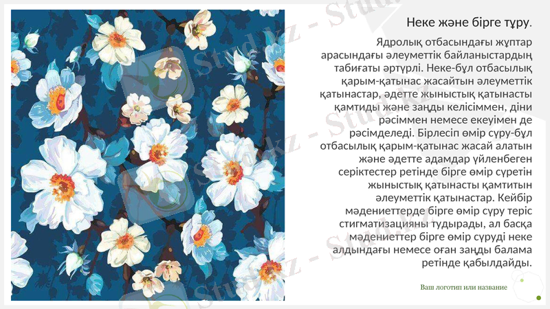 Slide 11