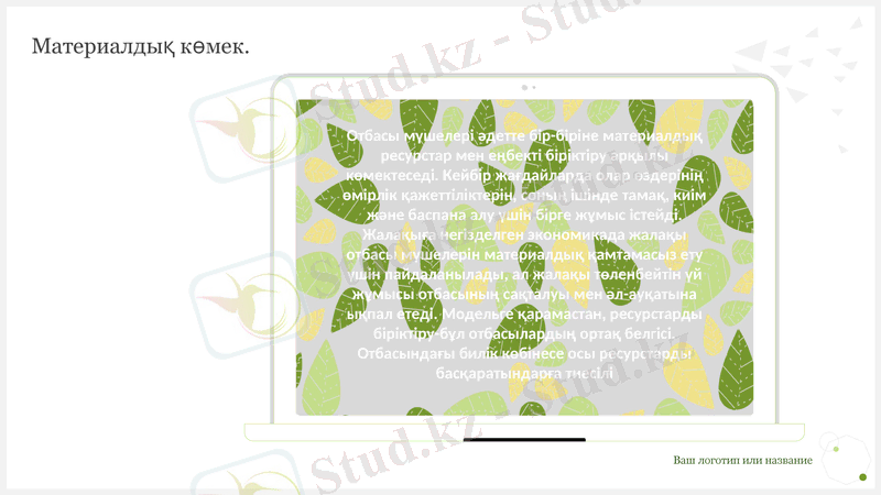Slide 5