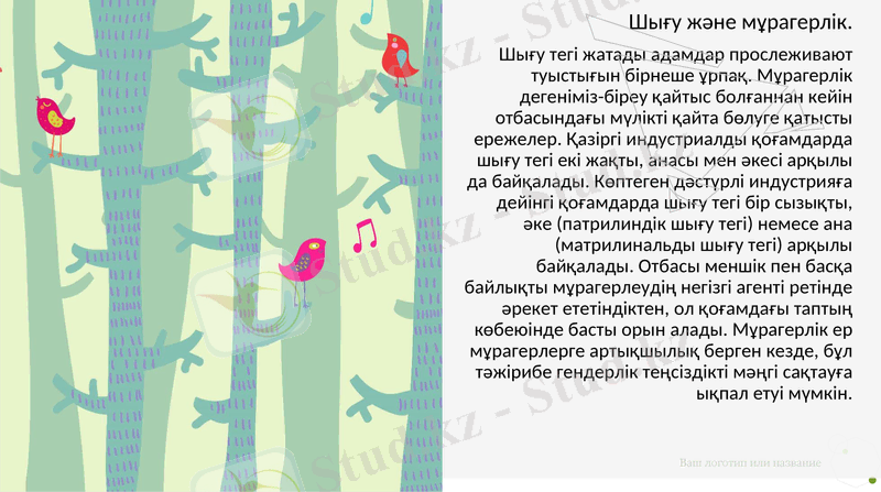 Slide 6