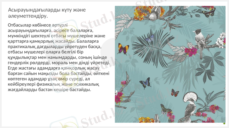 Slide 7