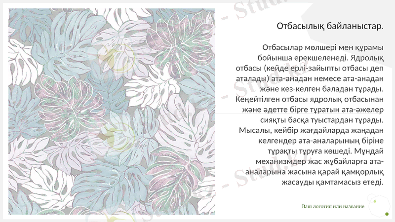 Slide 9