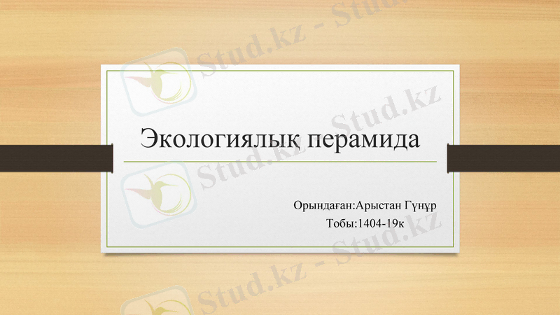Slide 1