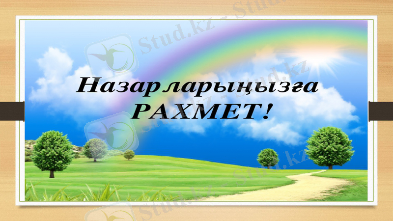 Slide 11