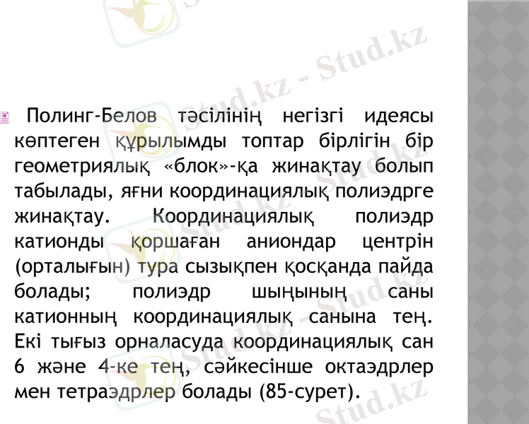 Slide 7