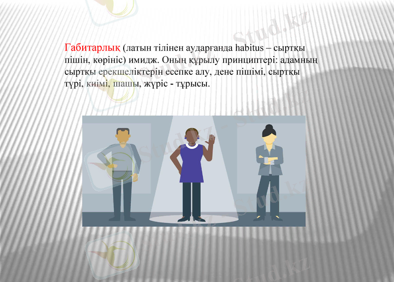 Slide 8