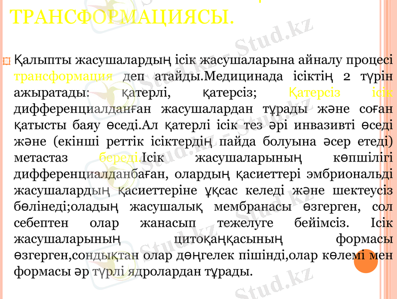 Slide 13