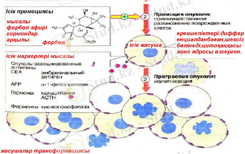 Slide 14