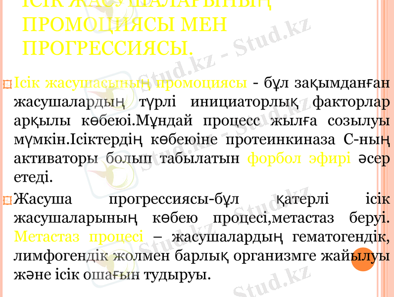Slide 15