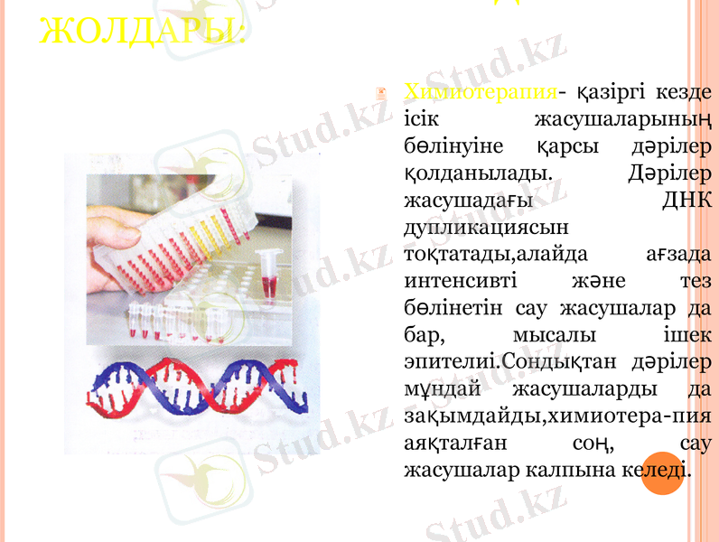 Slide 16