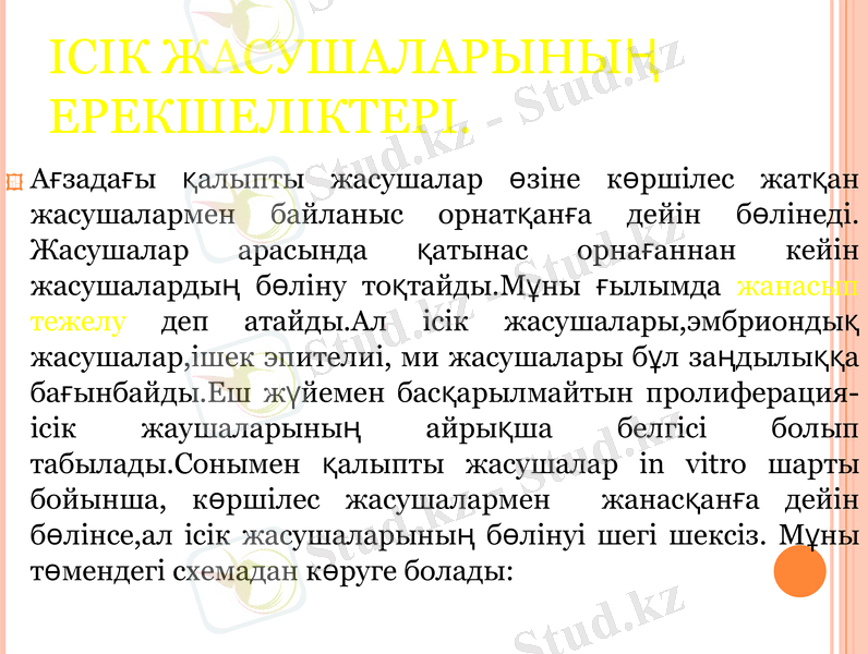 Slide 6