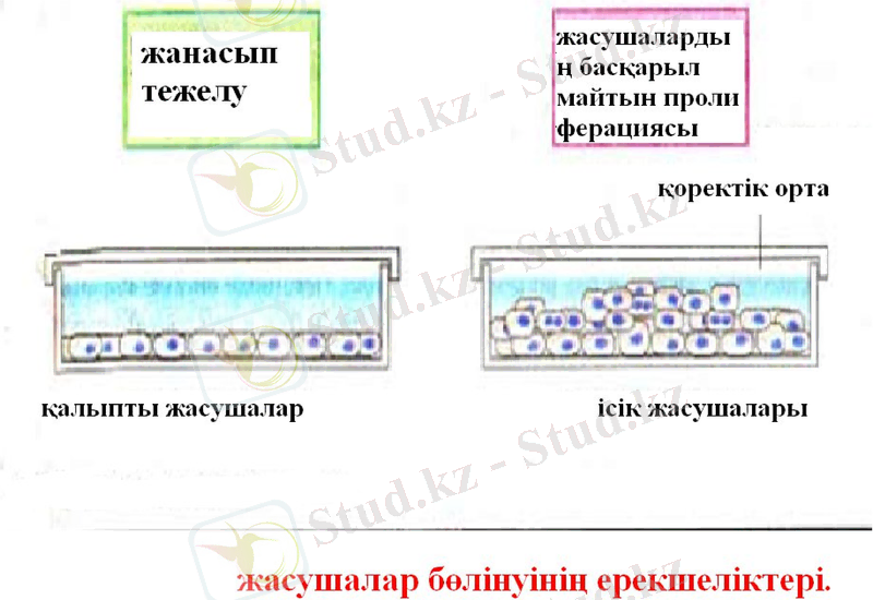 Slide 7