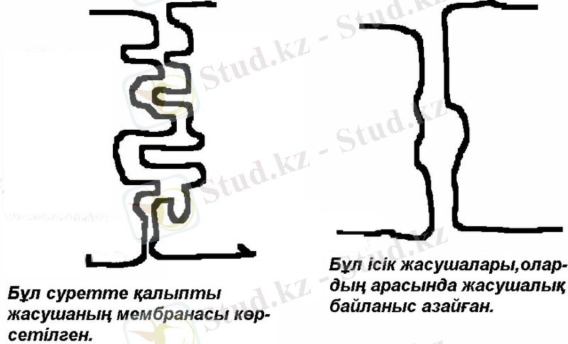 Slide 9