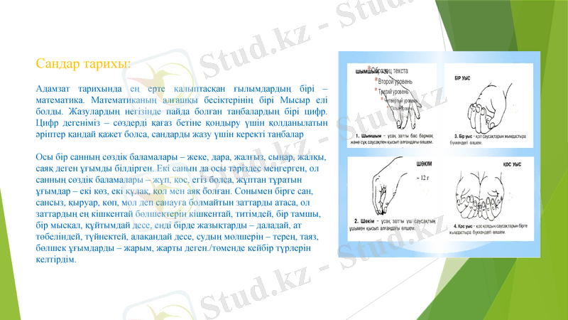 Slide 5