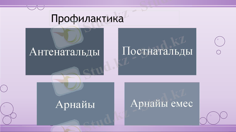 Slide 16