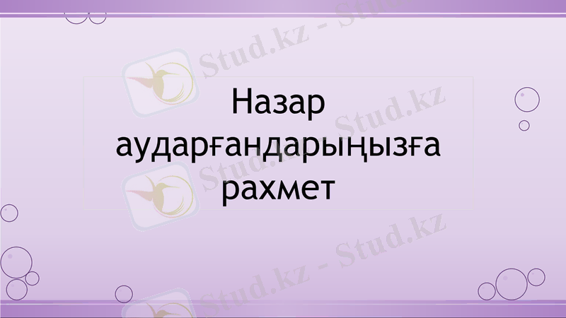 Slide 19