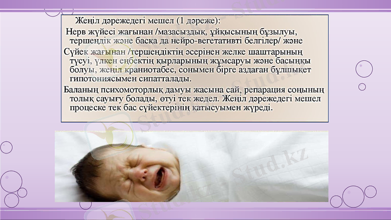 Slide 7