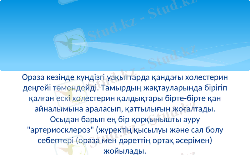 Slide 8