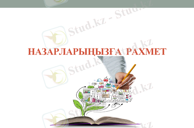Slide 11