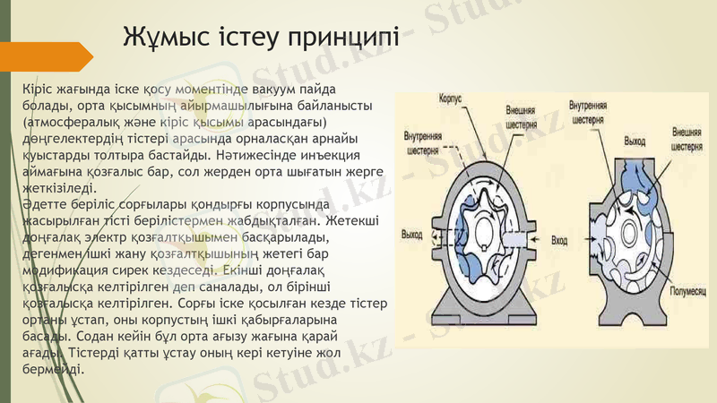 Slide 11