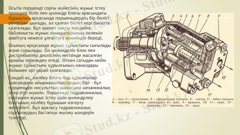 Slide 7