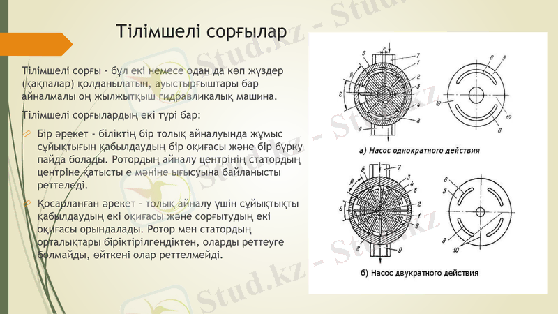 Slide 8