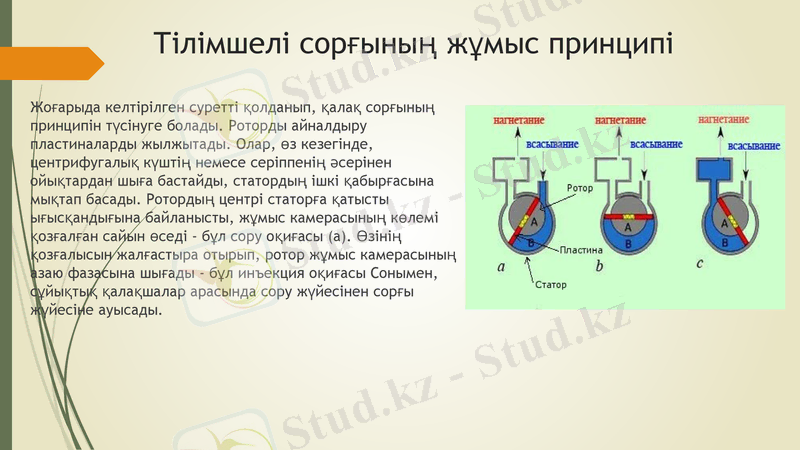 Slide 9