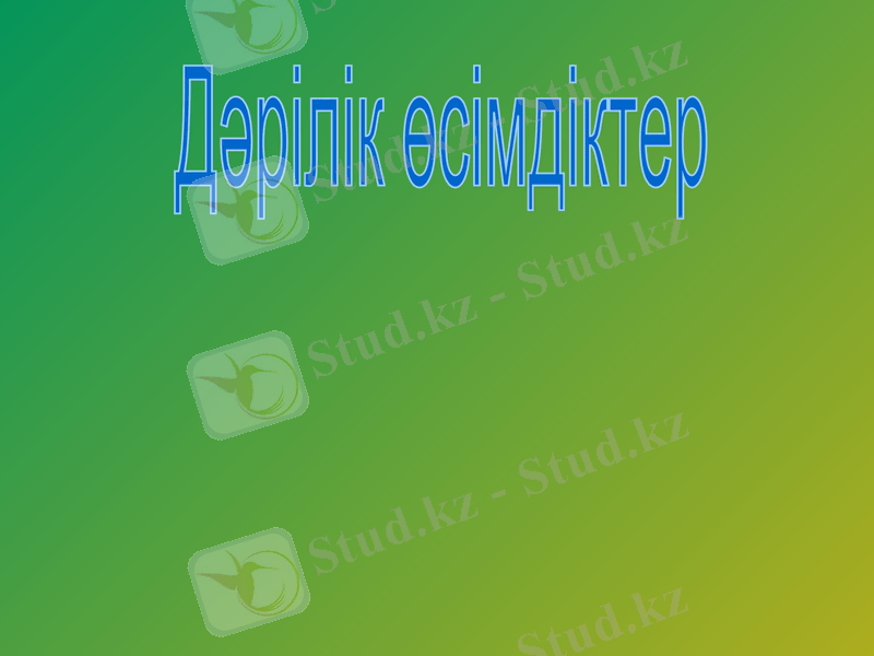 Slide 1