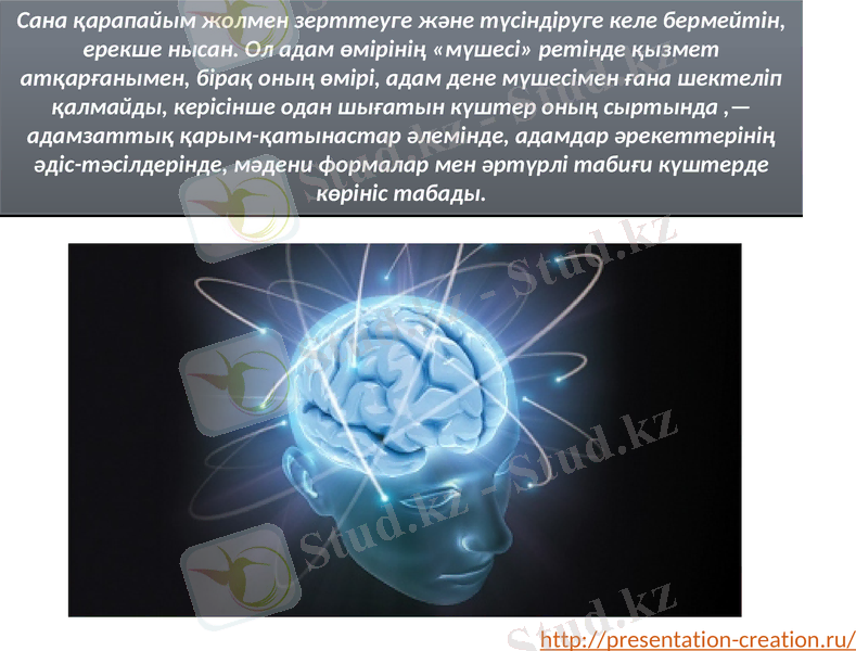 Slide 13
