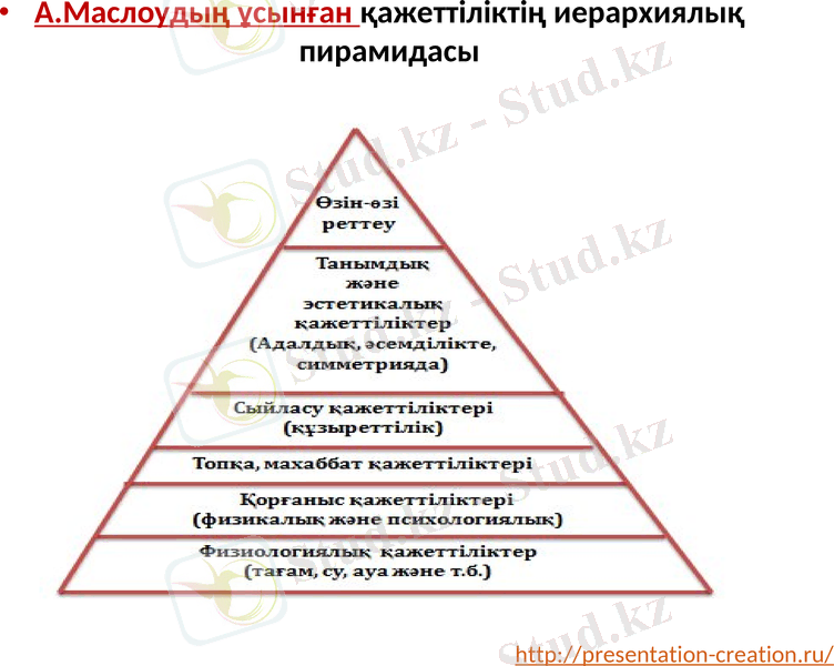 Slide 8