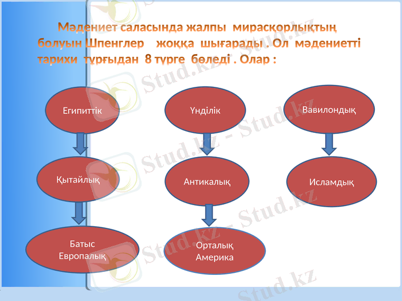 Slide 8