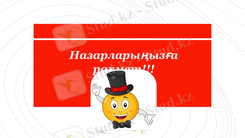 Slide 8