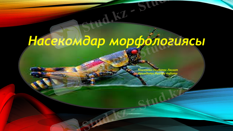 Slide 1