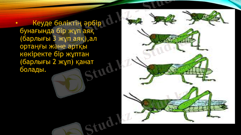 Slide 10