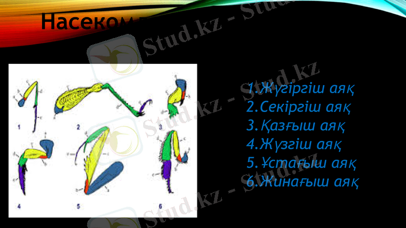 Slide 12
