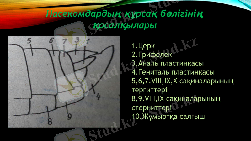Slide 14