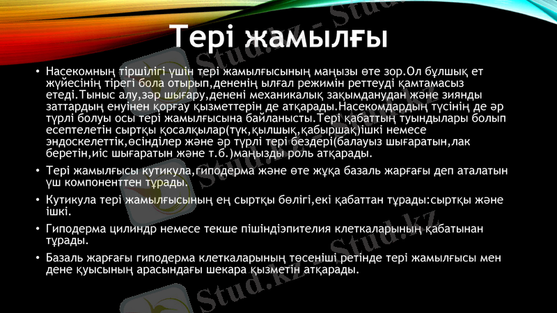 Slide 15