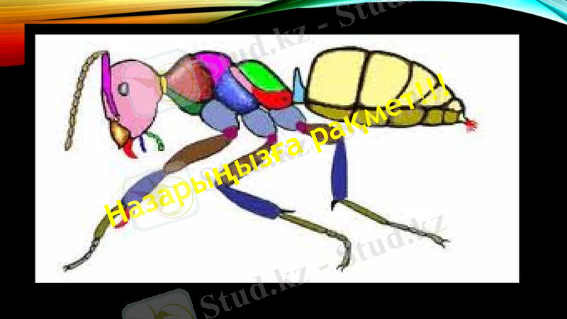 Slide 16