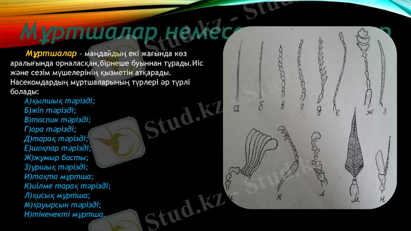 Slide 6
