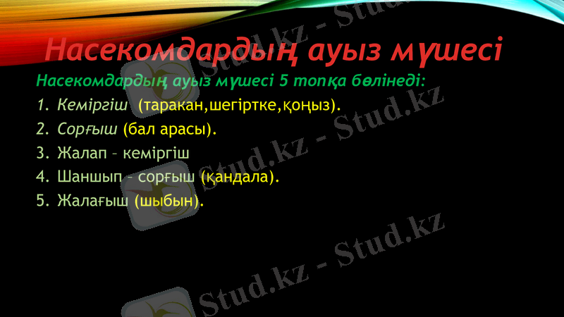 Slide 7