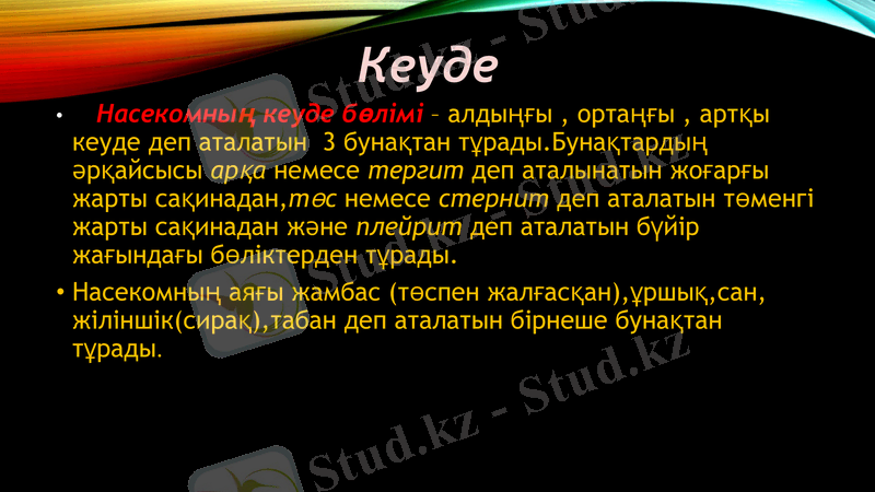 Slide 9