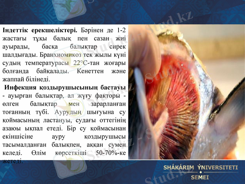 Slide 10