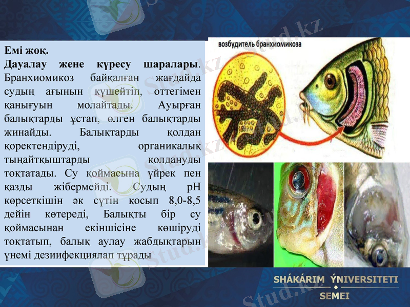 Slide 13