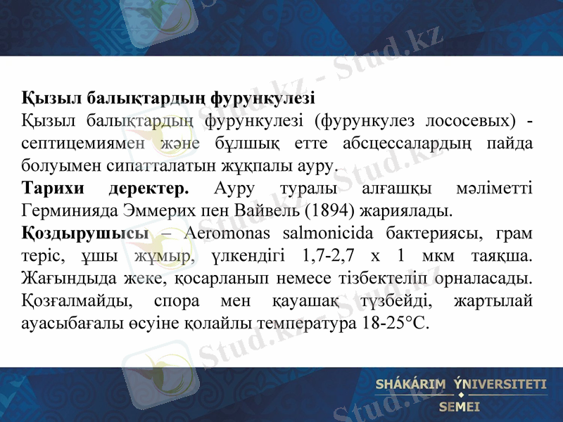 Slide 14