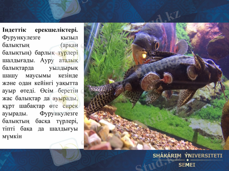 Slide 16