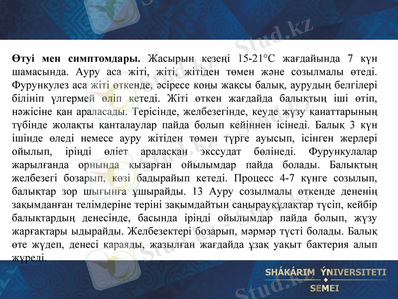 Slide 17