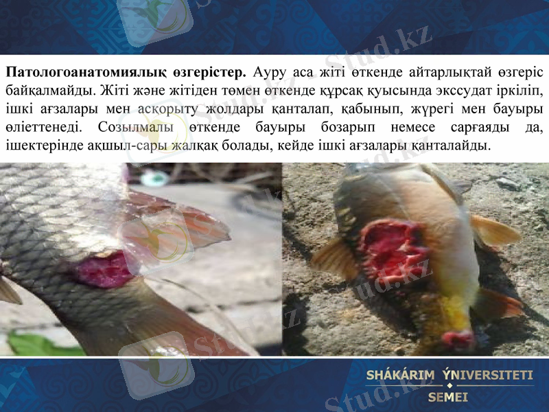 Slide 18