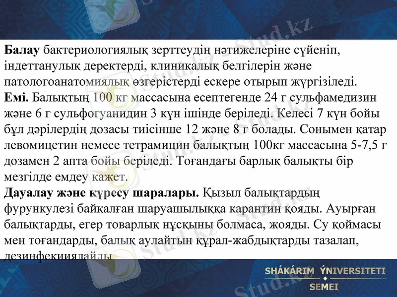 Slide 19