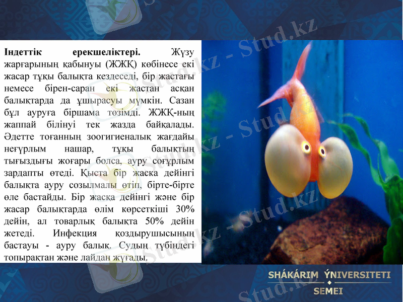 Slide 21